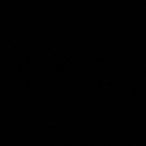 Meet your Posher, Devin